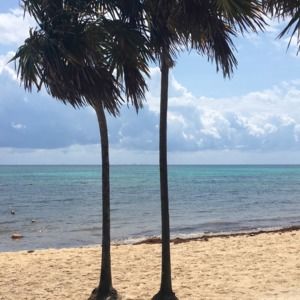 Meet your Posher, Ash